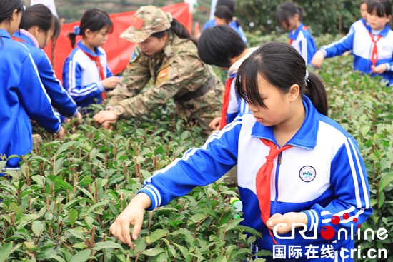 （原創）貴州平塘：持續做優茶産業 打造知名茶品牌_fororder_學生們在參加研學體驗