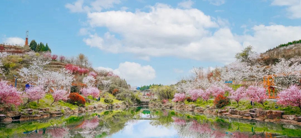 【多彩貴州•花漾中國】貴州遵義：“春日尋芳”踏青賞花好去處_fororder_微信圖片_20230315115131