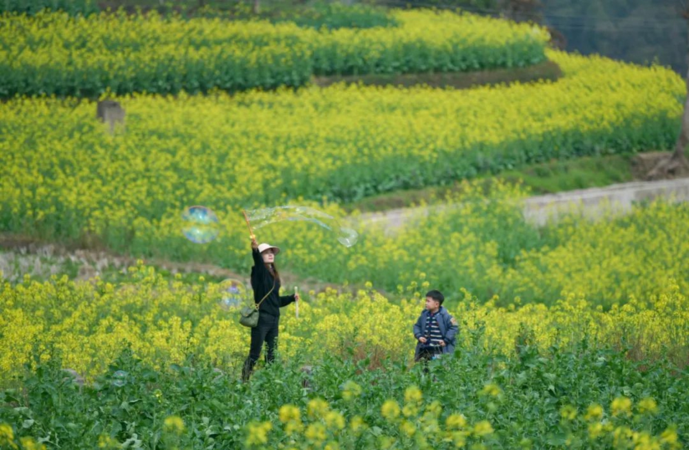 【多彩貴州•花漾中國】貴州遵義：“春日尋芳”踏青賞花好去處_fororder_微信圖片_20230315115222