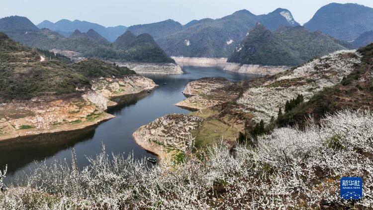 貴州開陽：烏江河畔花開景如畫