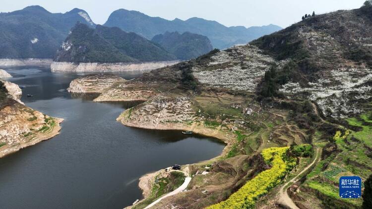 貴州開陽：烏江河畔花開景如畫