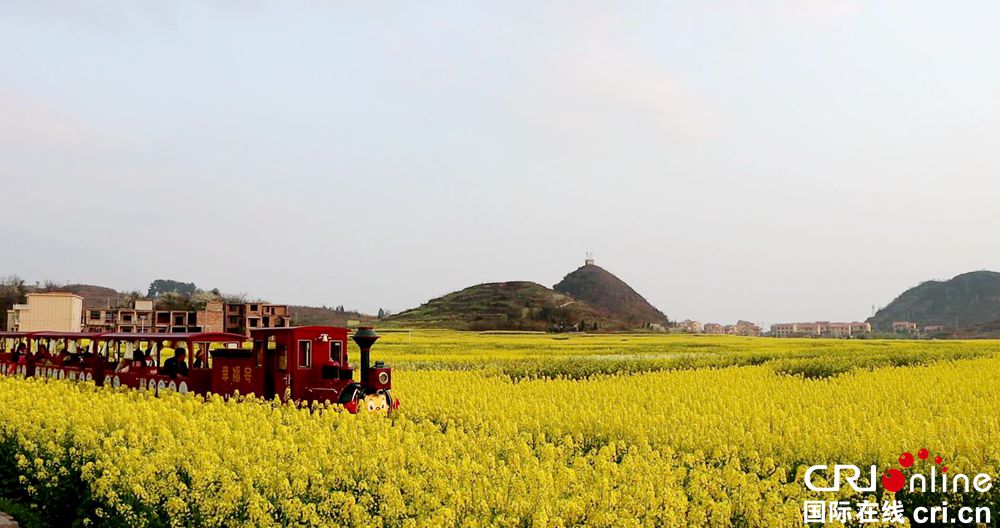 【多彩貴州·花漾中國】安順平壩：昊禹油菜花海春色美如畫_fororder_2023-03-18 13-40-20_副本