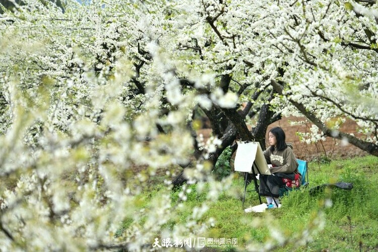 （中首）貴州黃平：小小畫筆“繪”春色