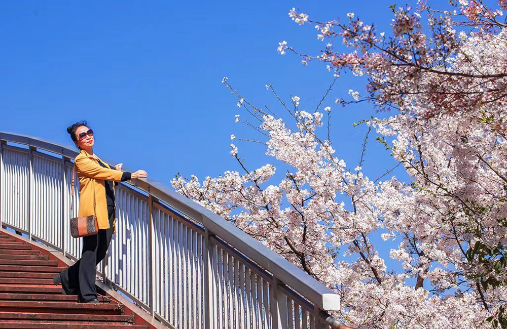 【多彩貴州·花漾中國】貴州鍾山：水城河邊櫻花盛開 邀你開啟浪漫之旅_fororder_24316a744eb69fe6f36b87279c167a9