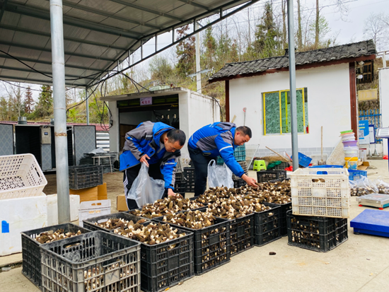 （供稿）貴州務川：沃野春潮涌 “耕”新正當時_fororder_微信圖片_20230329102447