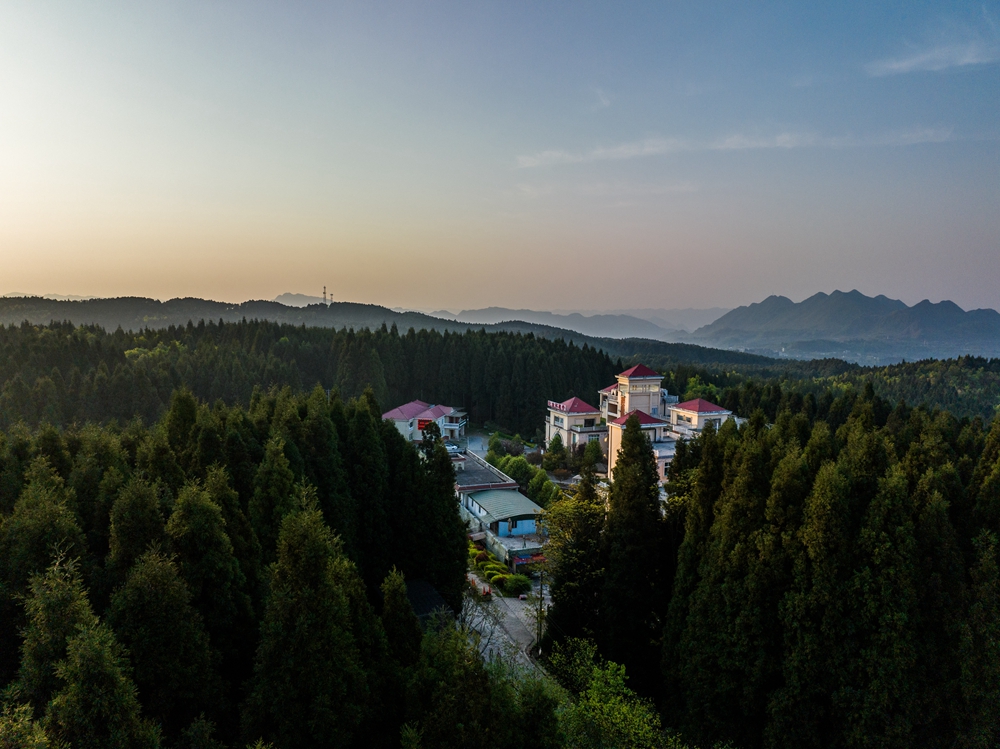 貴州畢節：森林旅遊 綠色共享_fororder_2023年4月16日，在貴州省畢節市七星關區國家森林公園拱攏坪景區裏拍攝的一景。 (11)