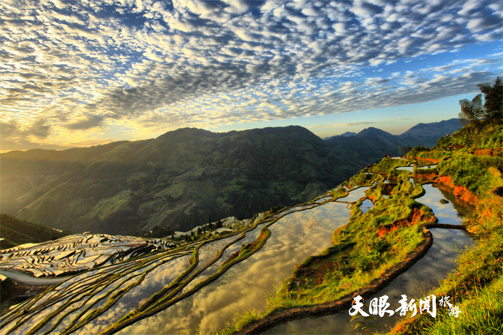 傳承古老農耕文明 貴州從江加榜景區正式啟動運營