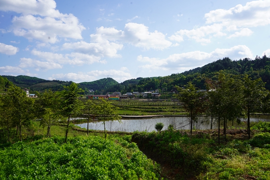 （供稿）貴州岑鞏：庭院“小美”助力鄉村“大美”_fororder_5、岑鞏縣客樓鎮下寨村面貌。（吳念  攝）.JPG