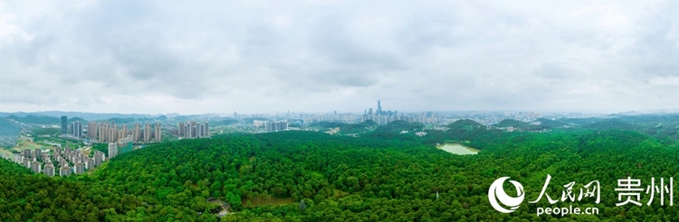 貴陽：林業“上雲” 生態“在線”