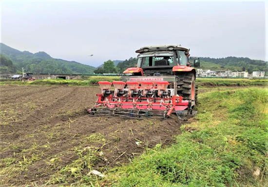 貴州都勻小圍寨街道：機械化作業 跑出高粱種植“加速度”_fororder_范橋艷 攝 (4)