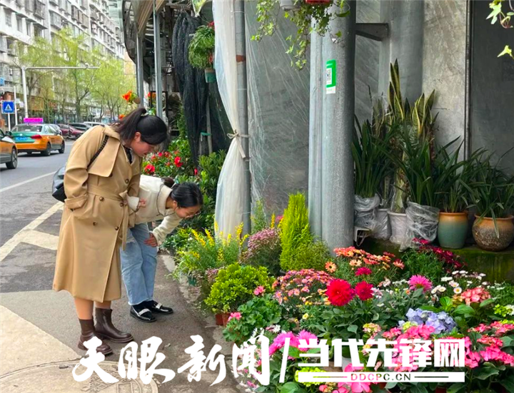 貴州遵義：初夏時節 花卉經濟綻放勃勃生機