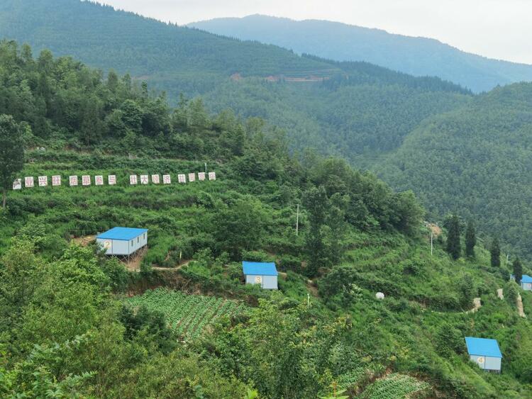 六盤水市水城區“五營方式”之一---聘才專營 讓烏蒙鳳雞飛出大山