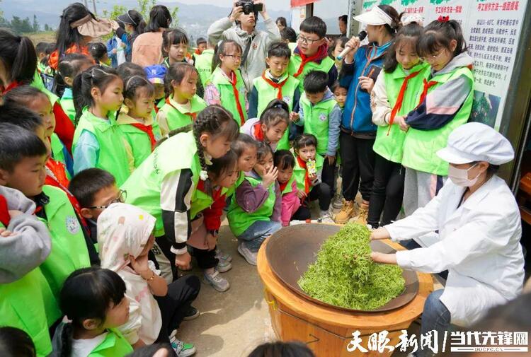 貴州丹寨：認領一畝“智慧茶園” 宅家也能種“春天”