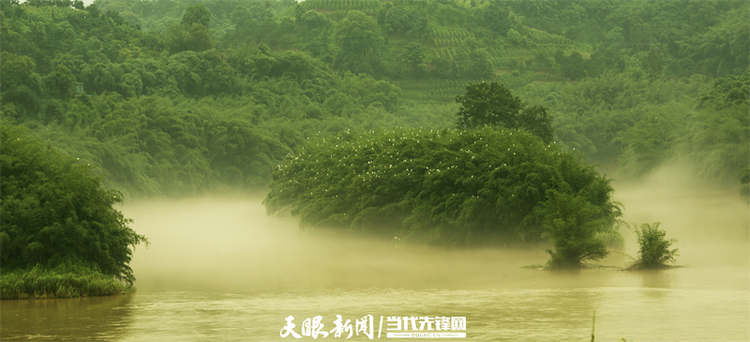 堅持山水林田湖草一體化保護修復 從125.8萬個山頭看貴州“綠色之變”