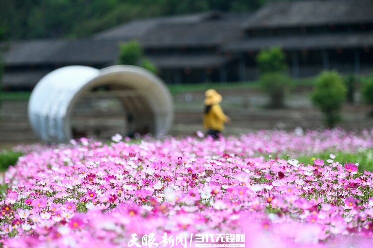 大自然為貴州“調色”，哪一抹最讓你心動