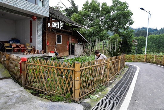 貴州天柱：聚焦庭院美化 共繪鄉村“新景圖”_fororder_近日，在天柱縣邦洞街道賴洞村，村民正在自家的小菜園進行管護。.JPG