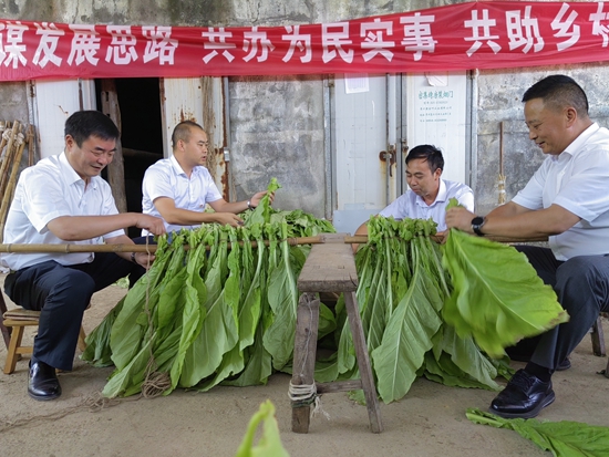 貴州思南：黨員幹部服務農民烘烤煙葉忙_fororder_黨員幹部幫助煙農綁扎煙葉（縣煙草公司 供圖）