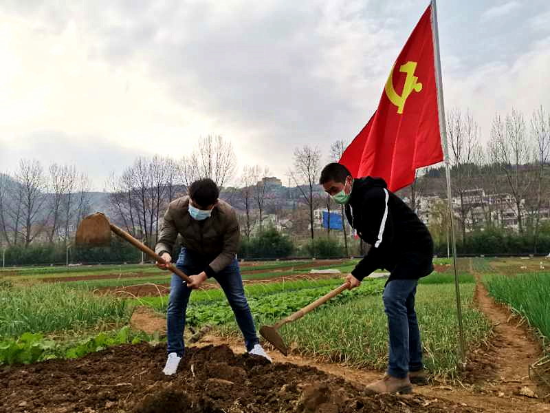 鍾山區大橋村：“四走四進來”繪就鄉村振興“幸福卷”