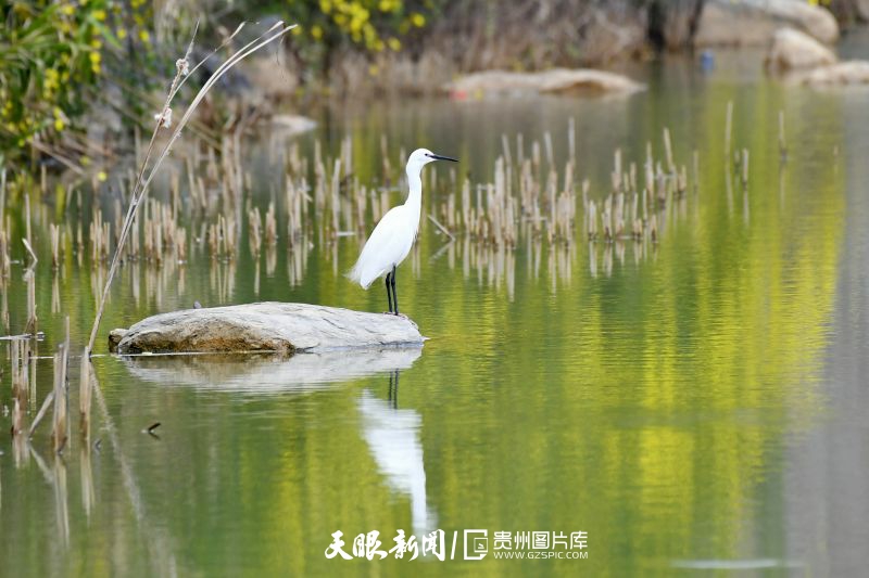 貴州：天藍水碧生態美