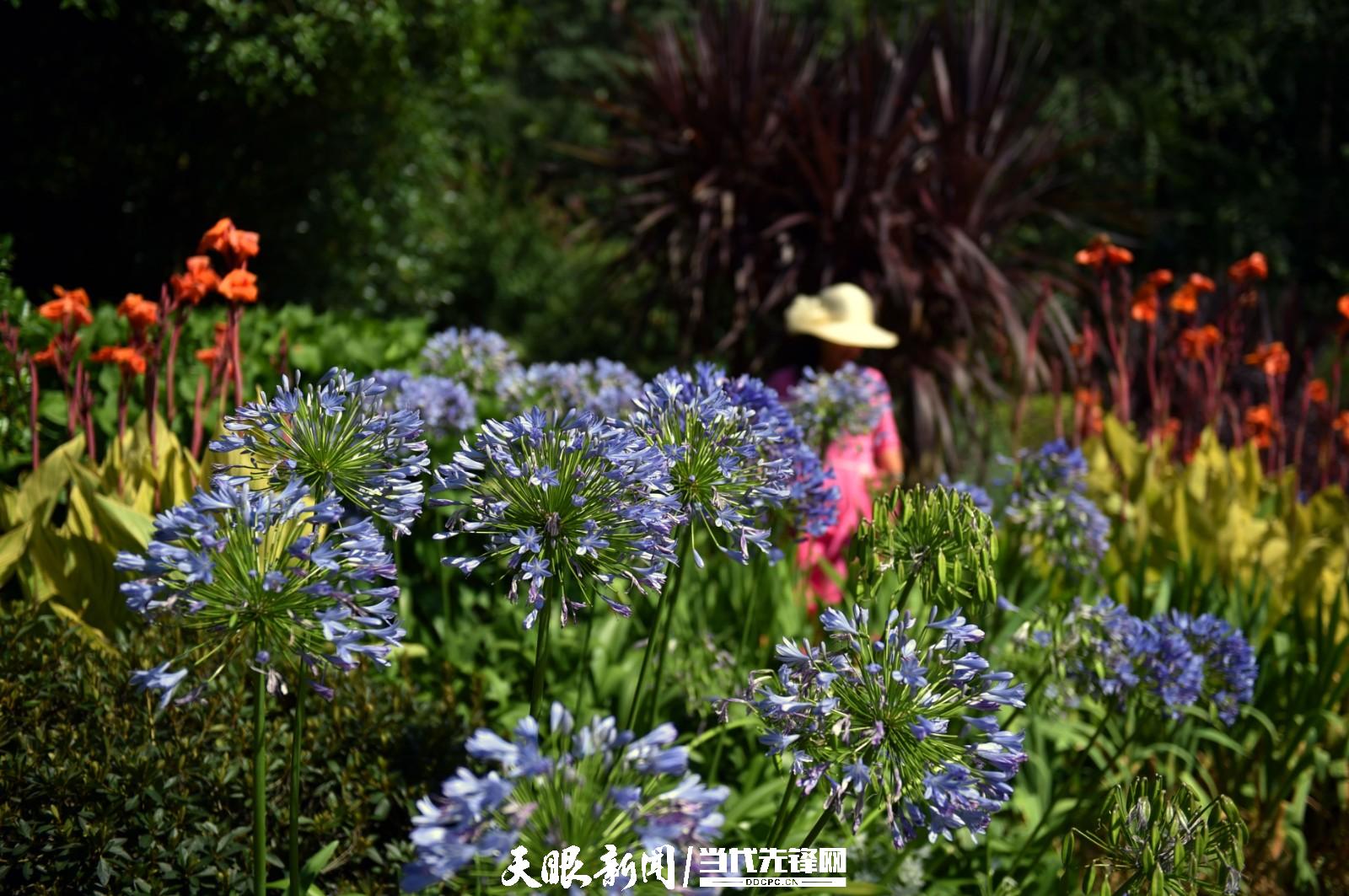 爽爽貴陽 盛夏詩意