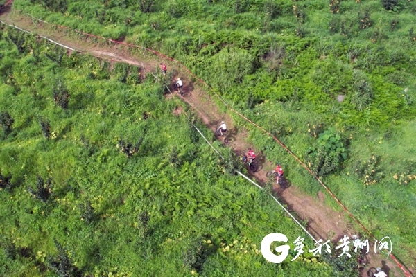 貴州省青少年錦標賽：百餘名自行車小將山地角逐