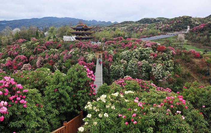 貴州兩地入選2019中國森林旅遊美景推廣地