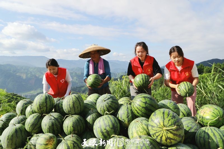 黔村+ ｜②村果篇：甜蜜的高原滋味 幸福的貴州味道