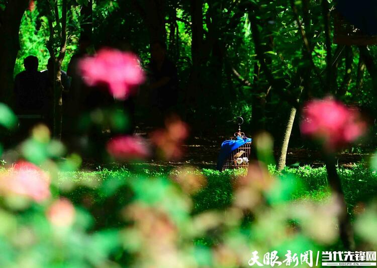 貴陽：花溪公園避暑遊