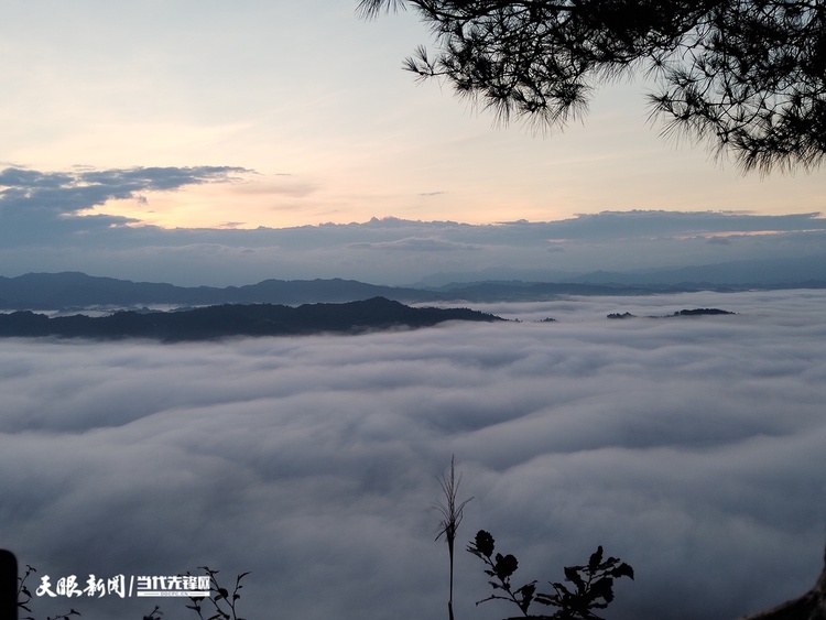 “飛鴿雲海”成遵義網紅新打卡地