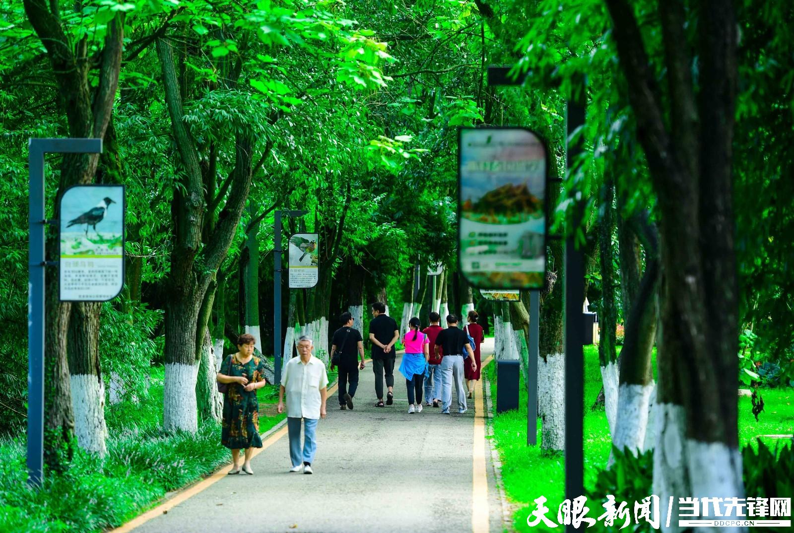 貴陽：花溪公園避暑遊