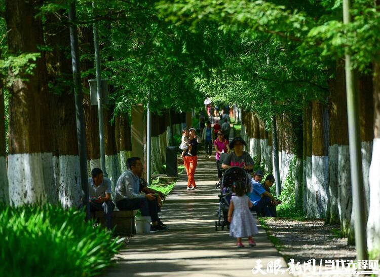 貴陽：花溪公園避暑遊