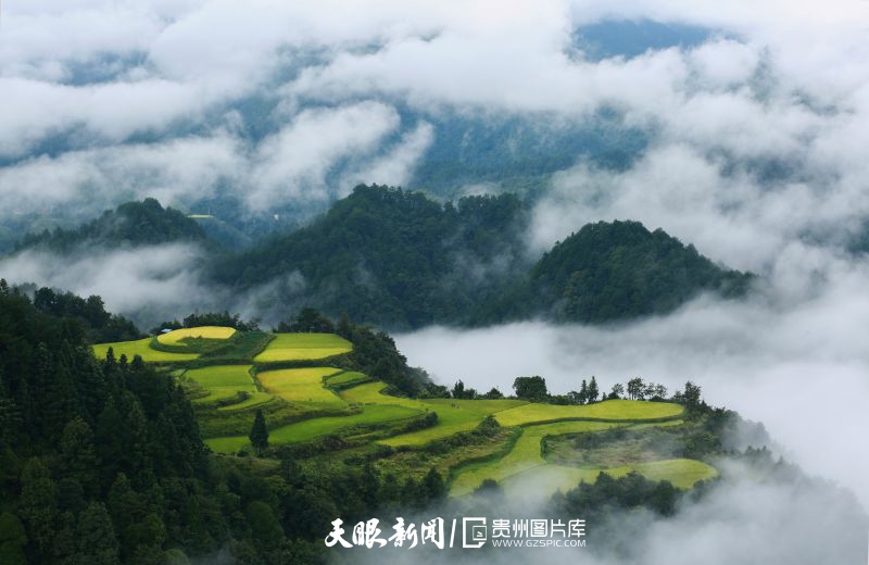 貴州：天藍水碧生態美