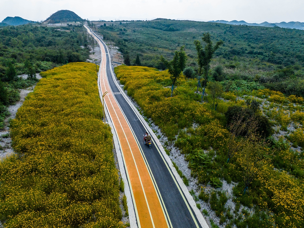 貴州畢節：建草原景點豐富山地旅遊_fororder_2023年9月2日，遊客在貴州省畢節市百里杜鵑管理區方家坪景區裏遊玩。 (2)