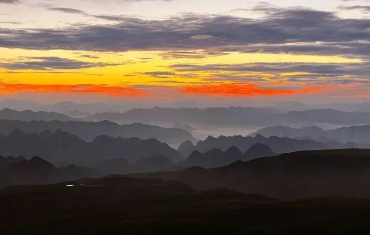 10萬畝雲上花海正在綻放！走進貴州版“秘密花園”，錯過等一年