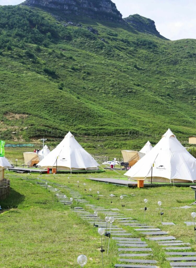 10萬畝雲上花海正在綻放！走進貴州版“秘密花園”，錯過等一年