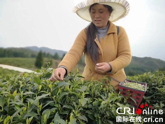 貴州水城 ：綠水青山換來金山銀山