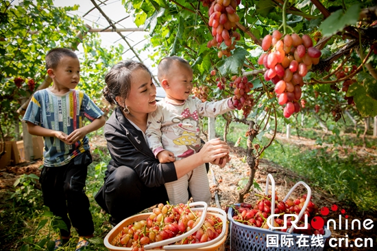 貴州天柱：激活千畝壩區經濟有高招（組圖）