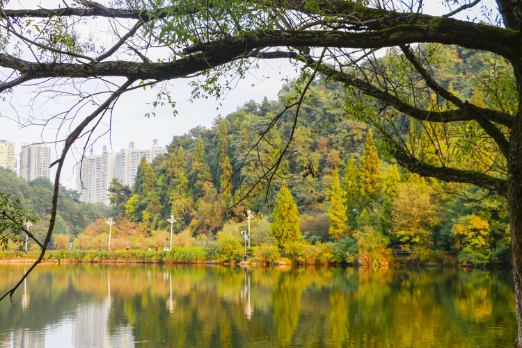 秋遊觀山湖公園 賞景旅拍兩不誤