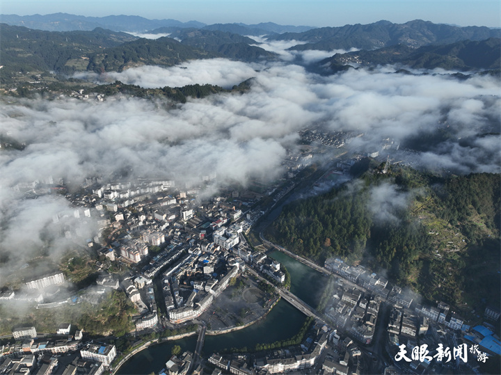 雲霧飄逸 生態雷山