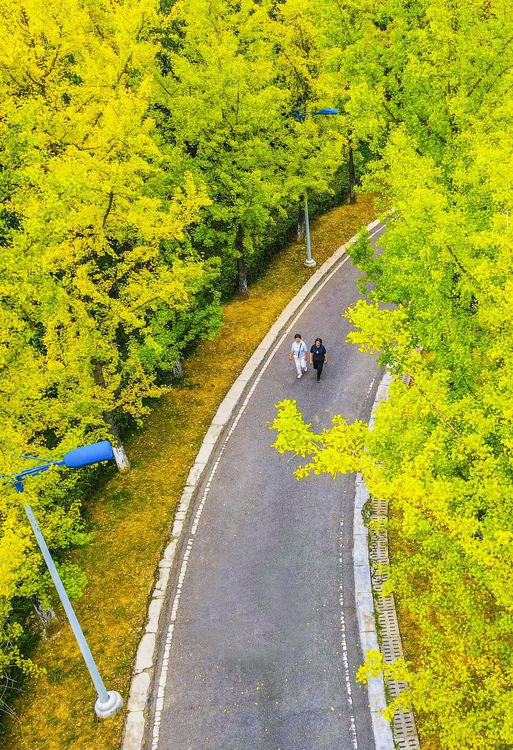 秋遊觀山湖公園 賞景旅拍兩不誤