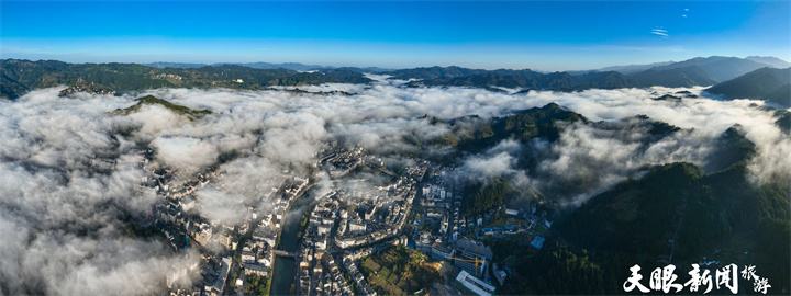 雲霧飄逸 生態雷山