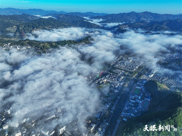 雲霧飄逸 生態雷山