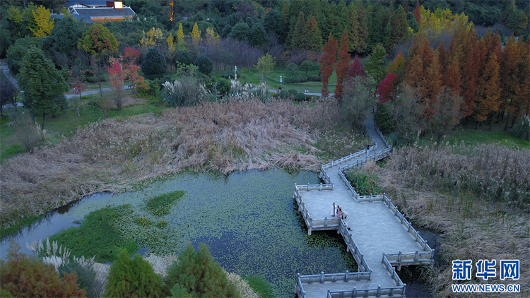 貴陽：立冬未寒景色暖