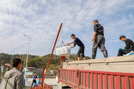 貴州天柱：智慧系統養魚 助力産業發展_fororder_上車.JPG