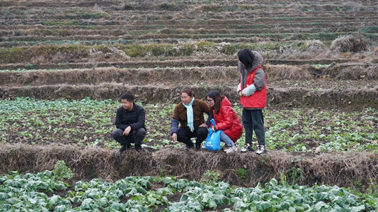 （供稿）貴州鎮遠：萬眾一心抗寒潮 全力以赴保民生_fororder_涌溪鄉農技人員在田間地頭指導農戶做好油菜防寒工作 (3).JPG