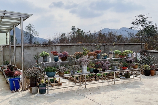 （供稿）貴陽市修文縣陽明洞街道：建設宜居鄉村 共享幸福家園_fororder_圖片1