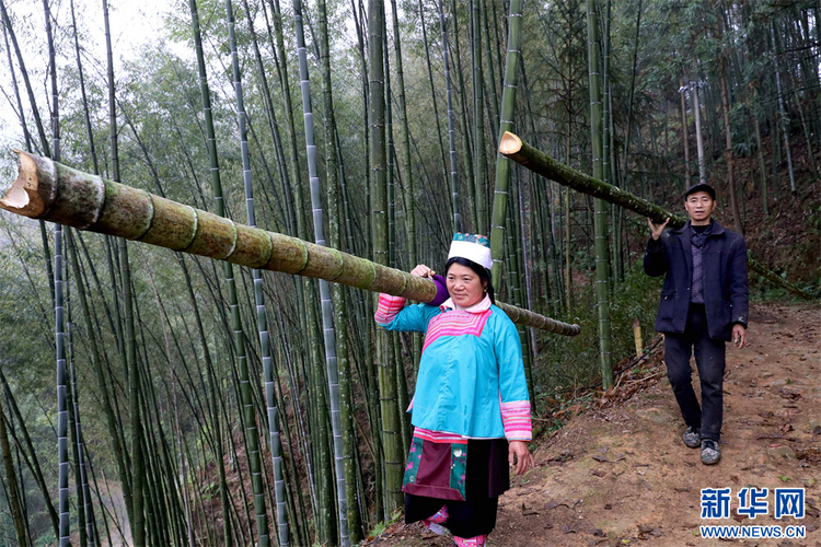 貴州榕江：趕制燈籠迎新年