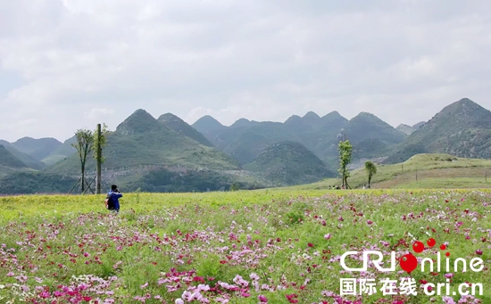 一城清水滿目春——貴州六盤水踐行“兩山論”加強水環境治理見聞_fororder_六盤水2