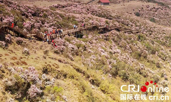 一城清水滿目春——貴州六盤水踐行“兩山論”加強水環境治理見聞_fororder_六盤水3