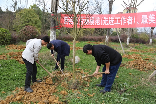 （供稿）貴州黔西：開展“弘揚勞模精神·共建美麗黔西”義務植樹活動_fororder_微信圖片_20240313093618